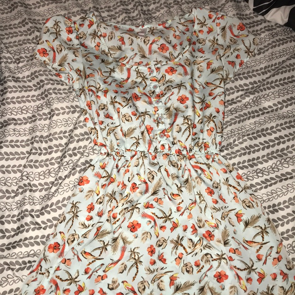 summer dress